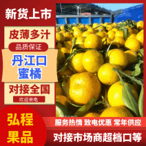 湖北丹江口蜜桔个大皮薄对接全国各地批发市场商超电商