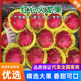 【精选火龙果】广东产地直发，品质保证，量大从优欢迎咨询