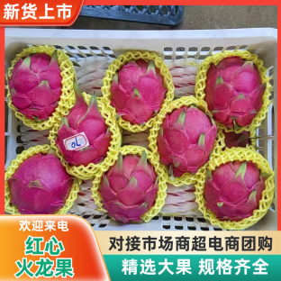 推荐热销红心火龙果，市场货 社区团购，电商及加工厂
