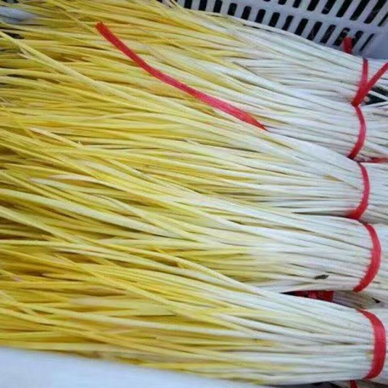河北蒜黄大量现货供应，规格齐全，对接电商、市场、批发商