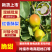 红香酥梨陕西红香酥梨皮薄多汁现摘现发欢迎咨询