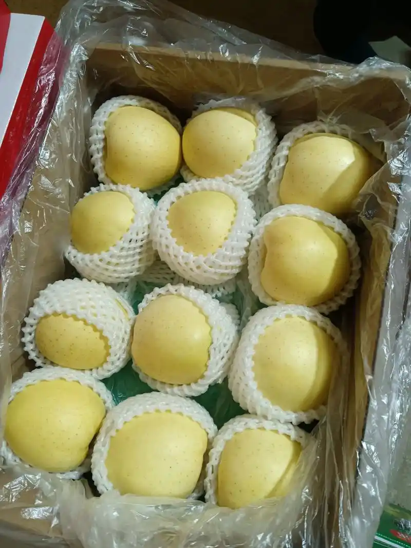 辽宁王林苹果核心产区直供新鲜优质耐运输欢迎来电咨询