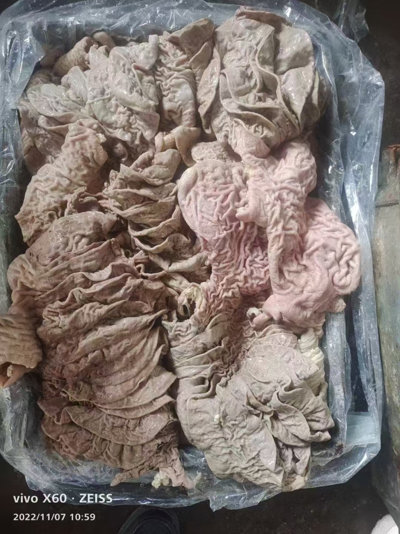 甘肃牛伞带牛散肚抛开去油干净/过沸水/量大价优/质量保证