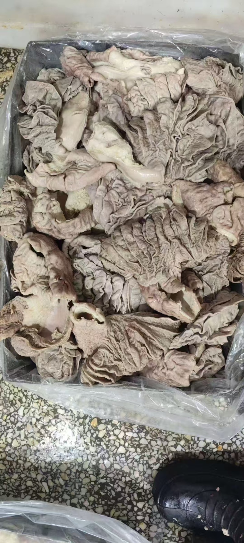 甘肃牛伞带牛散肚抛开去油干净/过沸水/量大价优/质量保证