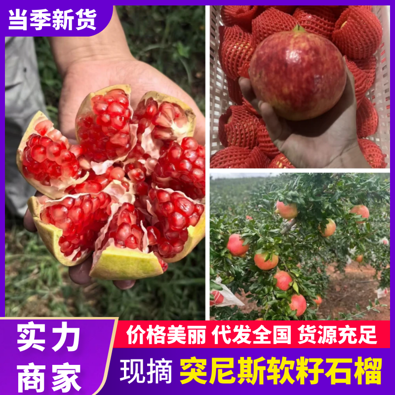突尼斯软籽石榴四川石榴产地直发对接工厂对接全国