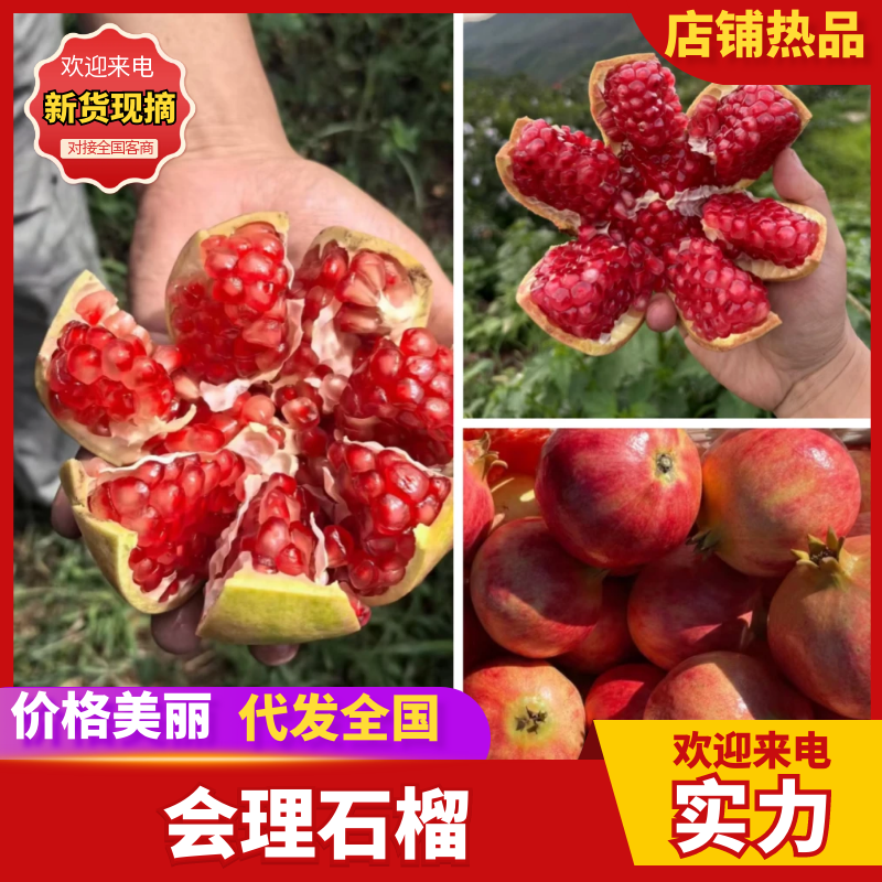 【热卖】会理石榴现摘现发品质保障对接电商社区团购