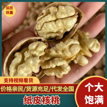 新疆185纸皮核桃干核桃产地发货一手货源批发质量保证价格