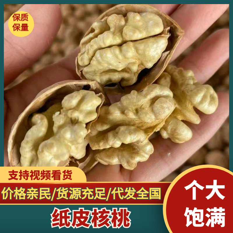 新疆185纸皮核桃干核桃产地发货一手货源批发质量保证价格