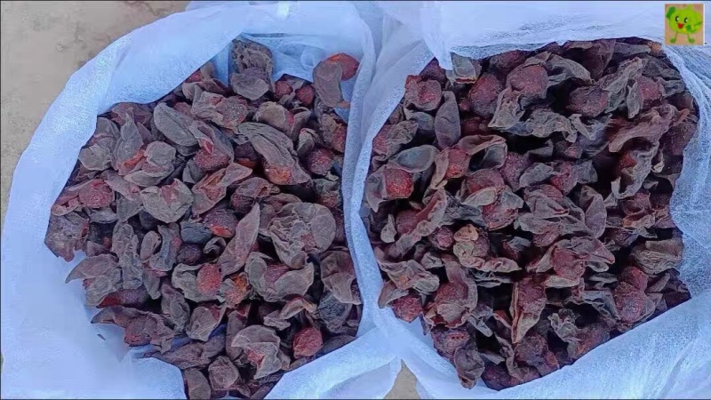 云南野生乌梅深山乌梅开口乌梅干酸梅汤原料包邮