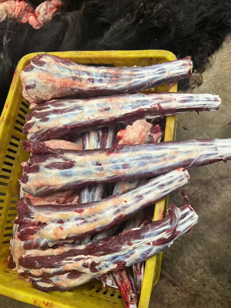 青藏高原/肉质细腻牦牛尾/天然放养/低脂高蛋白/滋补佳品