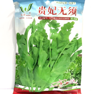 贵妃无须豌豆苗种子豌豆尖种子叶型无须苗芽菜苗型采收期长