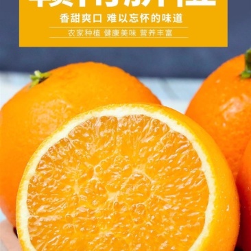 江西赣南脐橙果园直供