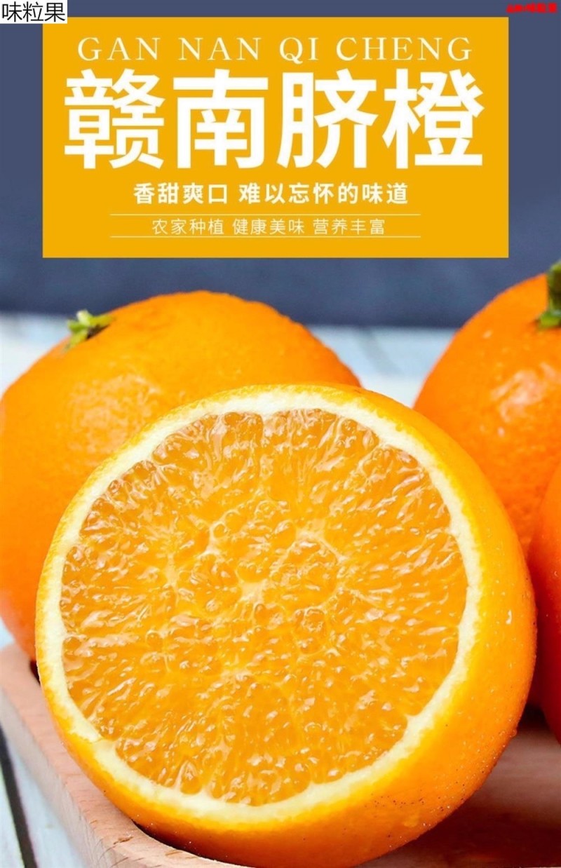 江西赣南脐橙果园直供