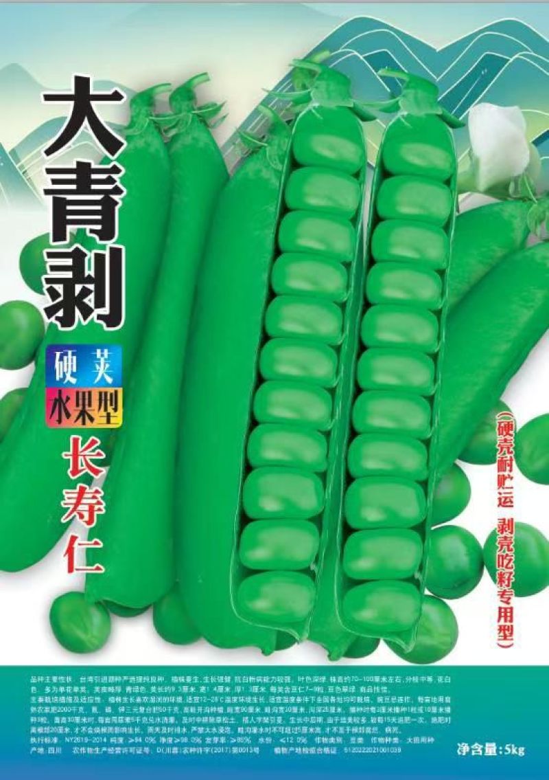 大青剥硬荚水果型豌豆种子长寿仁豌豆种子大田基地用