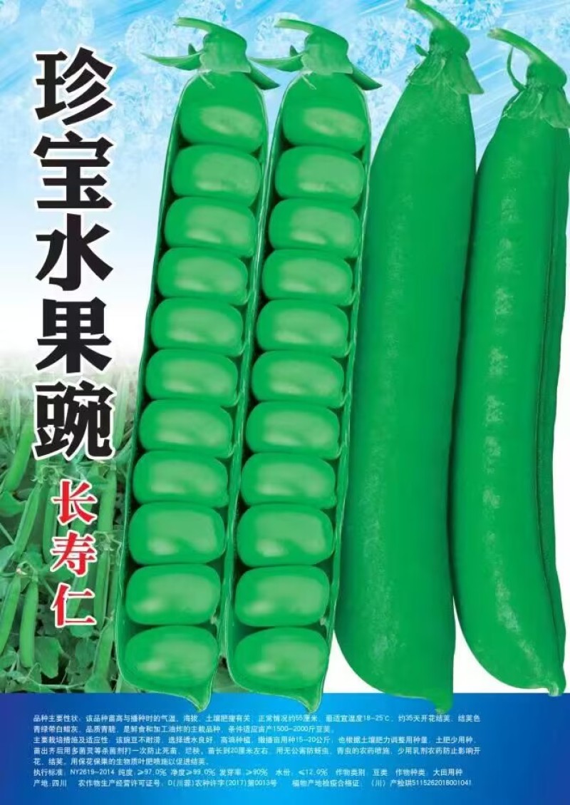 大青剥硬荚水果型豌豆种子长寿仁豌豆种子大田基地用