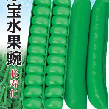 珍宝水果豌豆种子甜脆长寿仁豌豆种子水果型甜豌豆种子