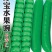 珍宝水果豌豆种子甜脆长寿仁豌豆种子水果型甜豌豆种子
