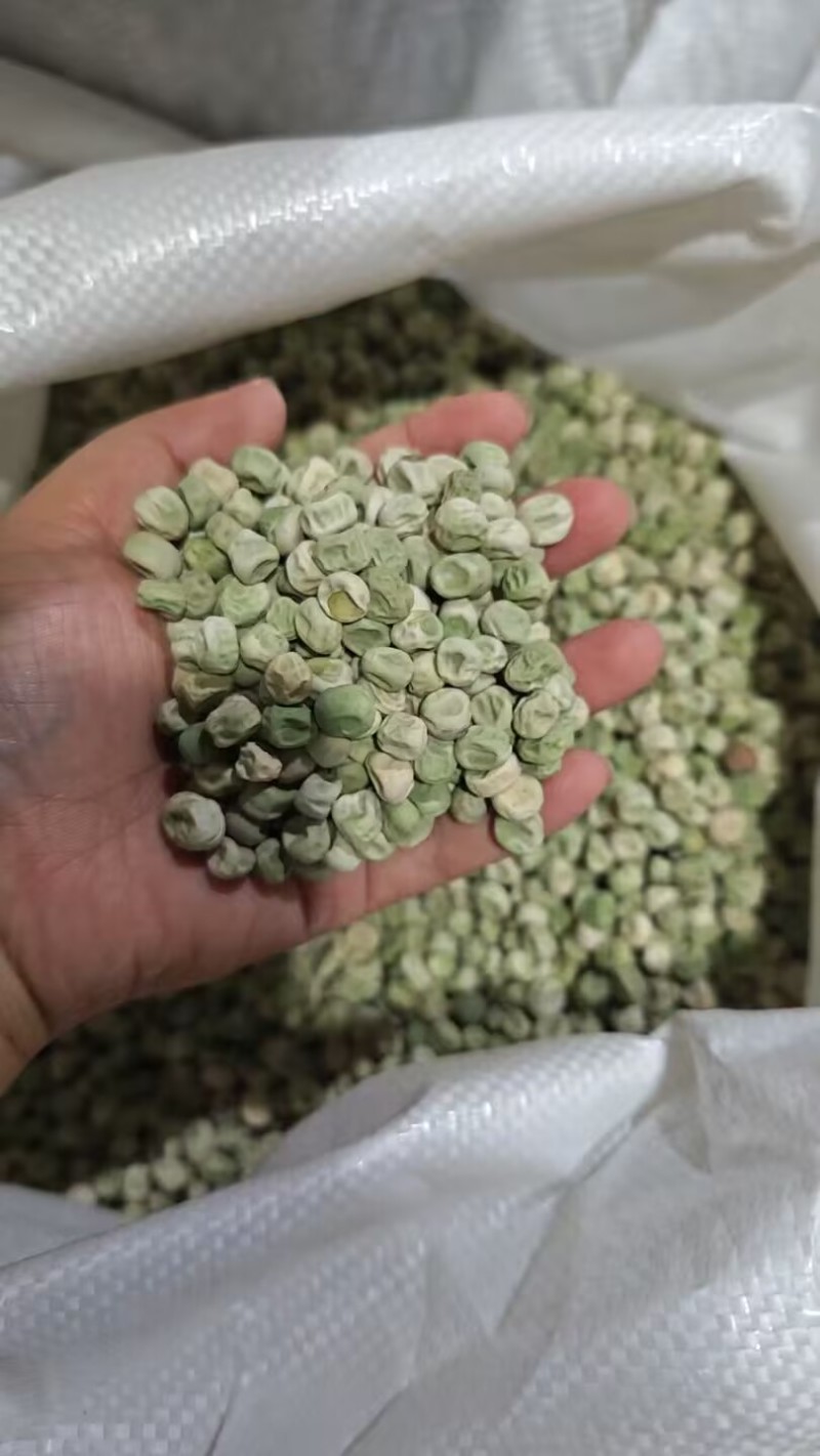珍宝水果豌豆种子甜脆长寿仁豌豆种子水果型甜豌豆种子