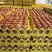 安徽农兴鸡蛋粉壳鸡蛋养殖基地直供富硒无抗生蛋全国发货
