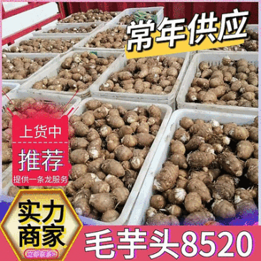 芋头8520毛芋头（常年供应/坏烂包赔）全国发货～万邦