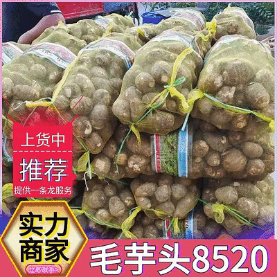 芋头8520毛芋头（常年供应/坏烂包赔）全国发货～江西