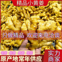 《小黄姜》山东原产地/常年批发/现货供应/代发代存