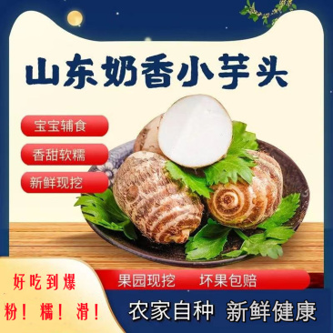 【山东农家拉丝奶油小芋头】沙地非荔浦芋头5斤新鲜水果蔬菜