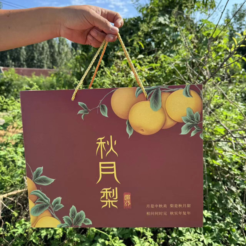 【山东网红秋月梨蜜梨】**级别酥梨爆汁细腻5斤新鲜水果代