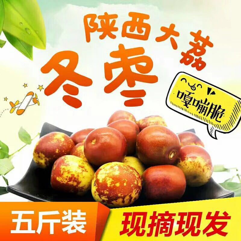 【陕西大荔冬枣送礼首先】当季新鲜水果5斤礼盒脆甜多汁一