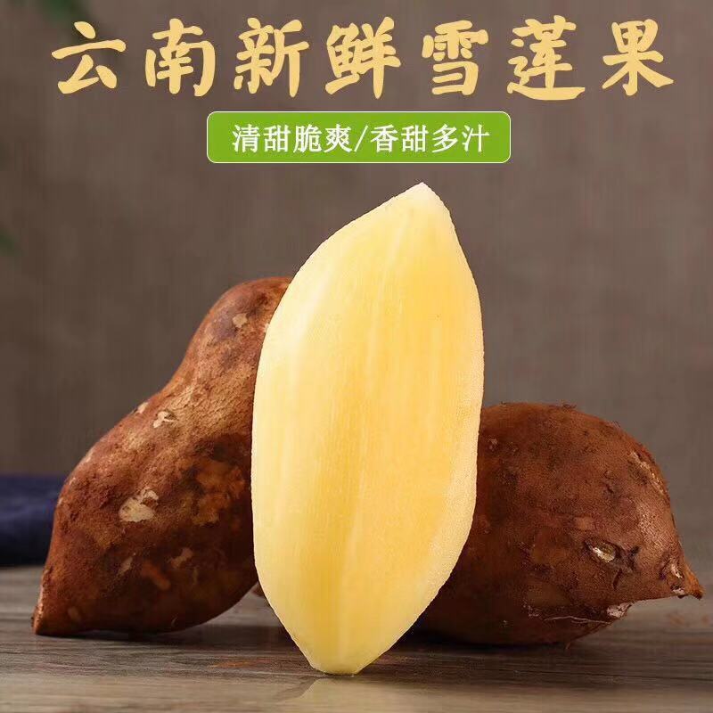 【云南天山红泥雪莲果】口感脆嫩甘甜多汁9斤新鲜水果一件代