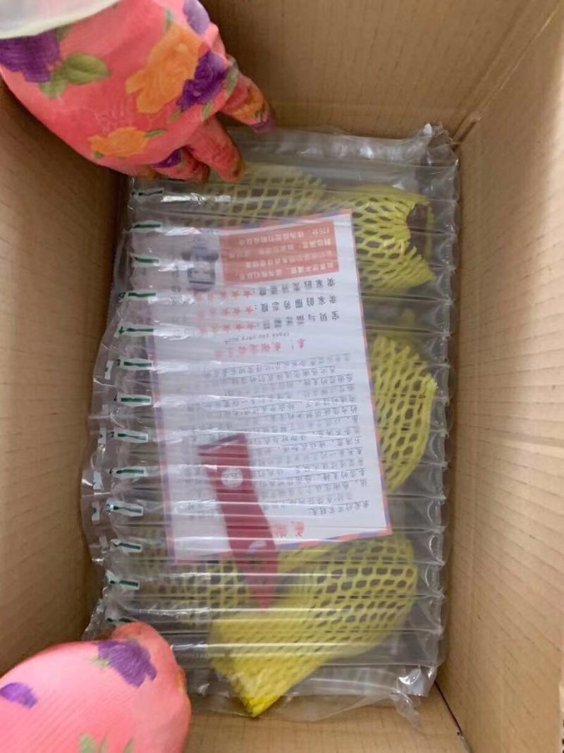 【云南天山红泥雪莲果】口感脆嫩甘甜多汁9斤新鲜水果一件代