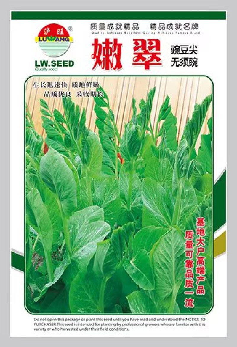 无须豌豆尖种子豌豆苗种子生长速度快采收期长大田基地用种