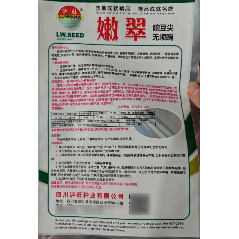 无须豌豆尖种子豌豆苗种子生长速度快采收期长大田基地用种