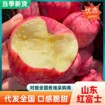 6山东苹果精品红富士苹果脆甜多汁产地一手货源诚信经营