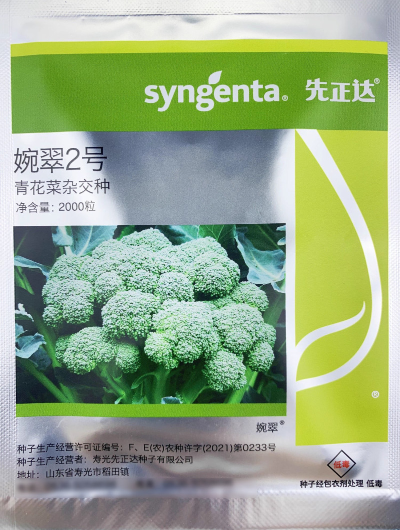 先正达进口婉翠2号青花菜种子松花型青花菜种籽早熟蔬菜种孑