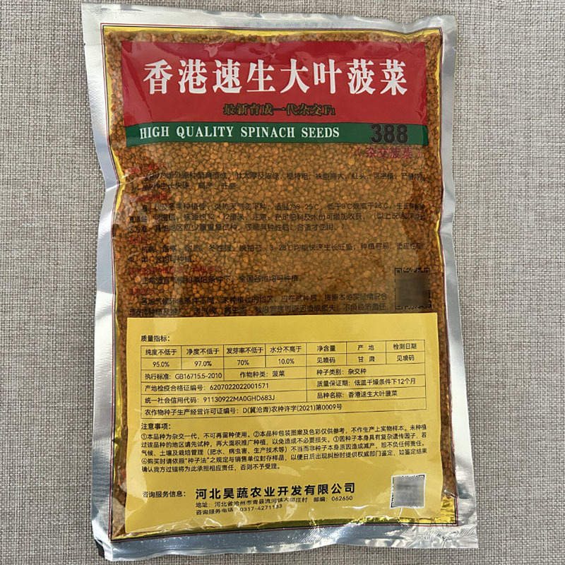 速生大叶菠菜种子杂交叶厚浓绿红根高产旺盛春秋冬季