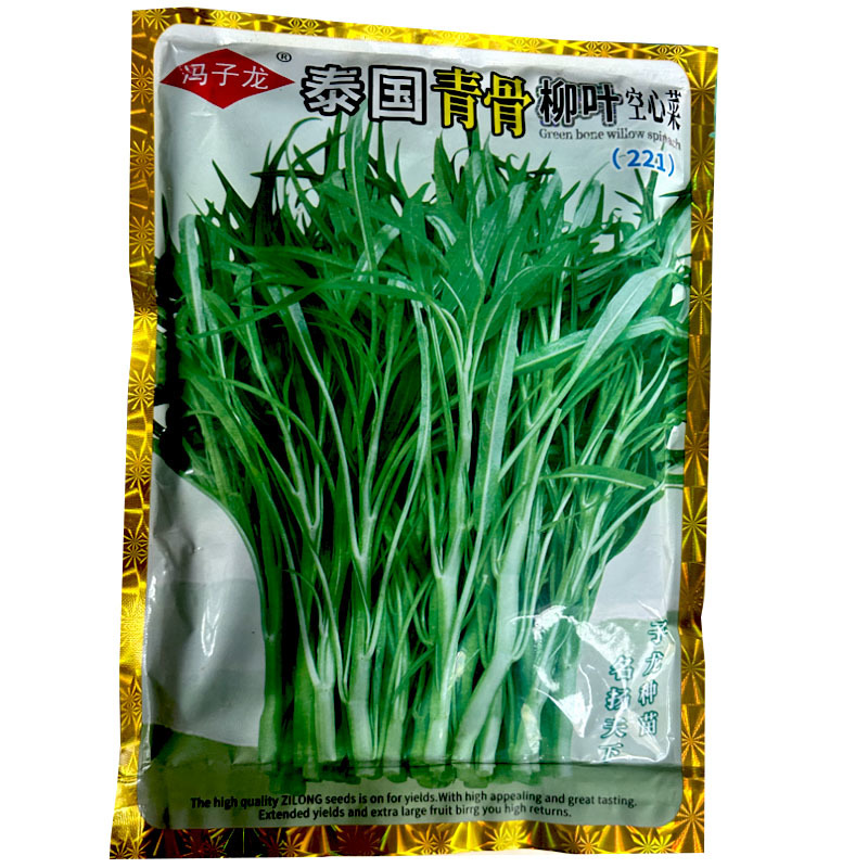 泰国青骨柳叶苋菜种子纤维少500g生长快基地专用