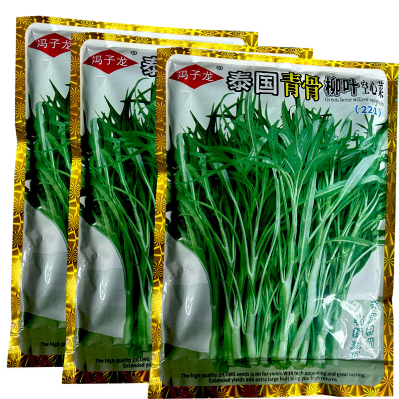 泰国青骨柳叶苋菜种子纤维少500g生长快基地专用