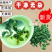 新疆红罗布麻茶泡茶泡水喝散装新货花草代用茶包邮批发