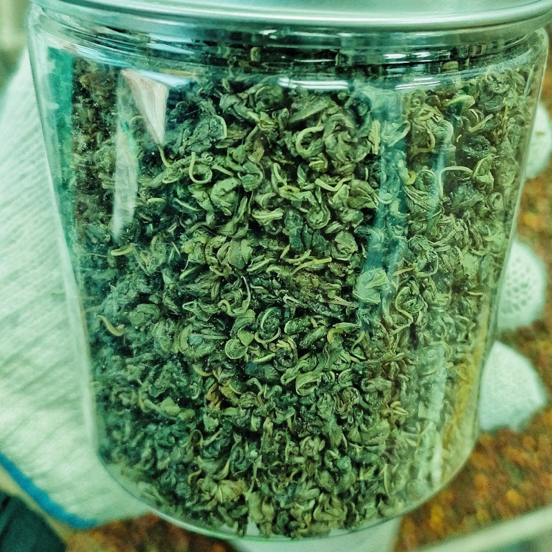 新疆红罗布麻茶泡茶泡水喝散装新货花草代用茶包邮批发