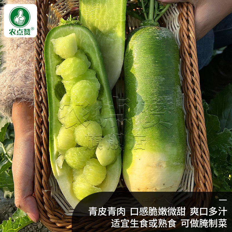 青水果萝卜种子-脆嫩微甜/多汁/当季新种/品质好
