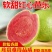 红心红宝石番石榴价格电话联系质量保证欢迎来电