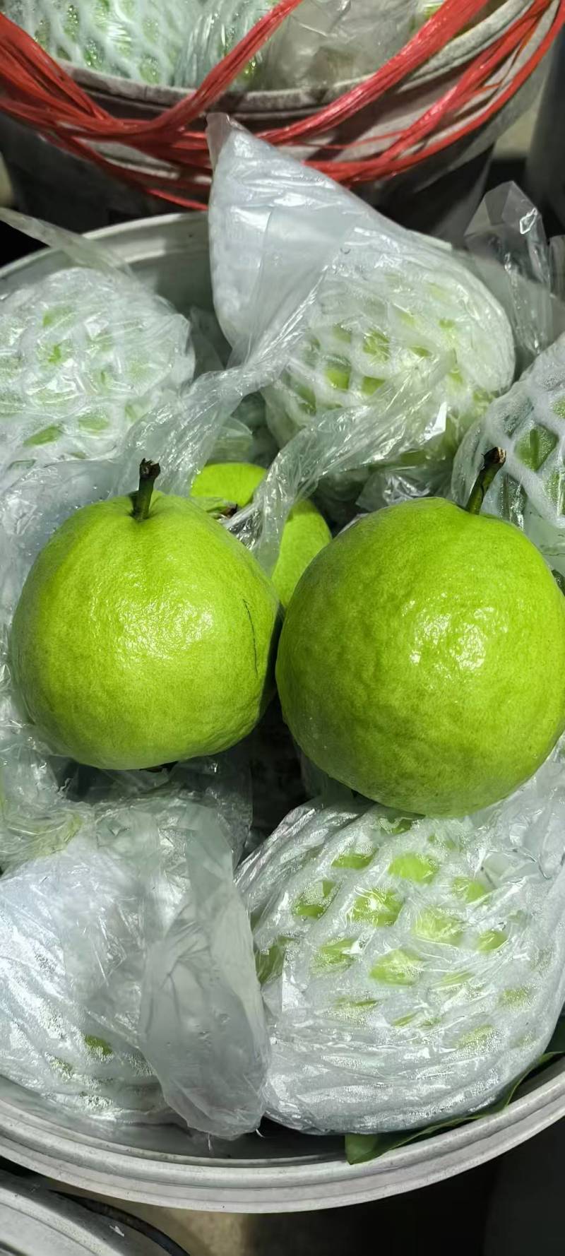 红心红宝石番石榴价格电话联系质量保证欢迎来电