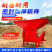 泥土粉碎机营养土碎土机电动粉土机建渣破碎机粉煤机