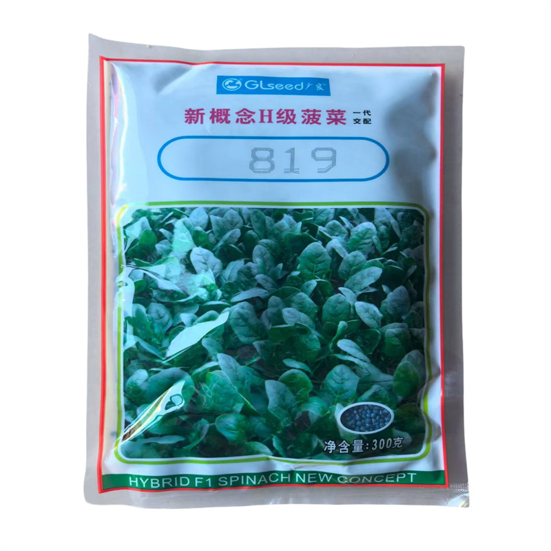 新概念H级菠菜种子广良819进口杂交菠菜种子尖圆叶高产