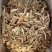 甘肃黄芪散装红土黄芪片大货批发红芪正宗黄芪红皮