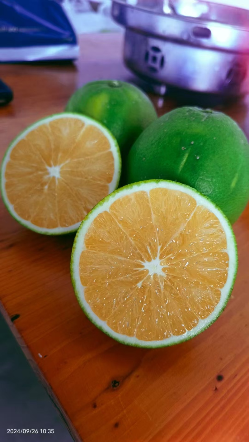 【精选脐橙】湖北产地直发质量保障一手货源量大优惠全国发货