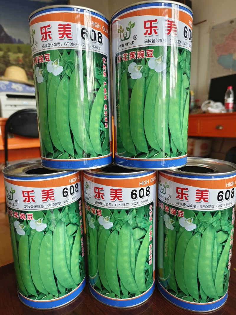 乐美608白花荚豌豆品质保证服务周到