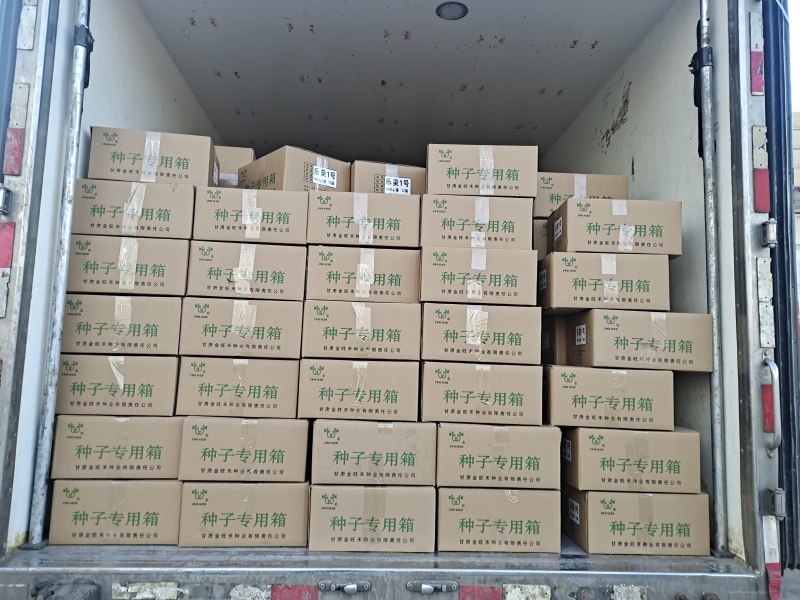 乐美608白花荚豌豆品质保证服务周到