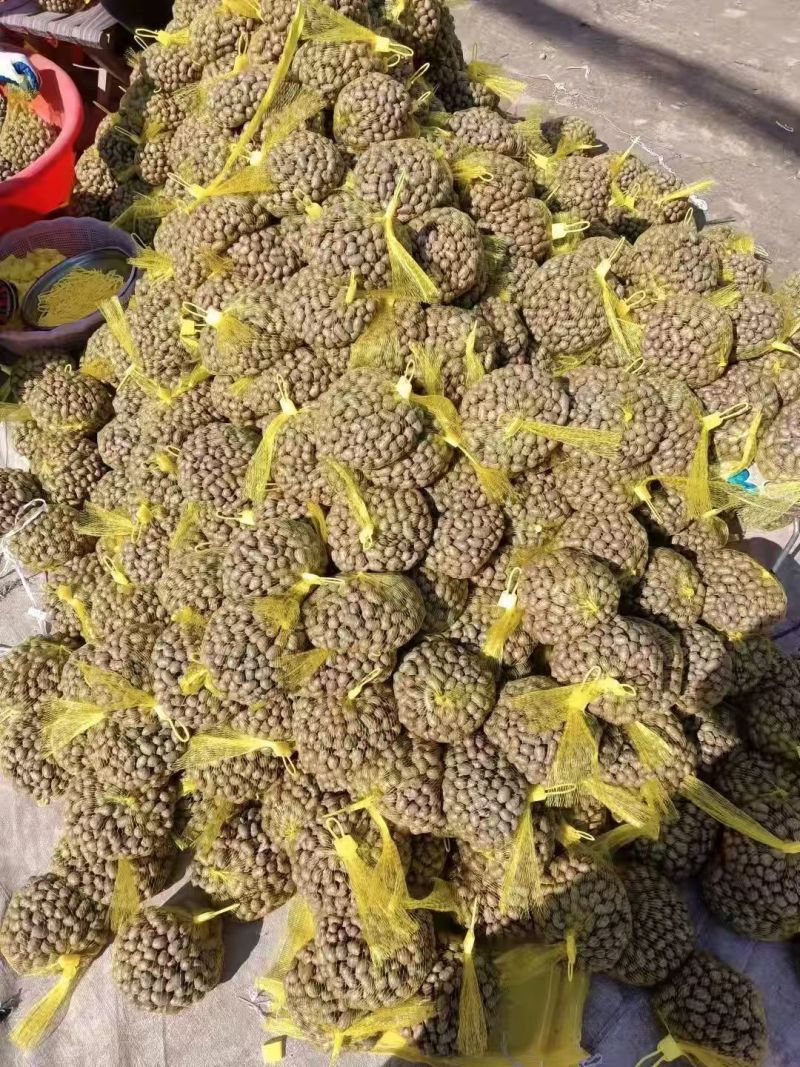 山药豆电商山药豆山东山药豆口感好品质保障价格实惠大量供货